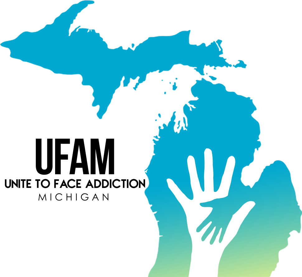 Michigan Logo Png - State Of Michigan Transparent Clipart (1008x941), Png Download