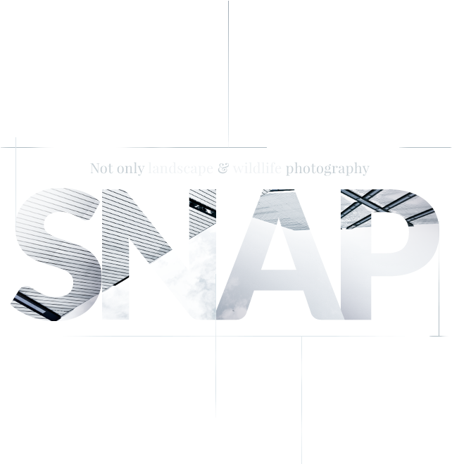 Home Snapshot Intro Pic - Graphic Design Clipart (780x658), Png Download