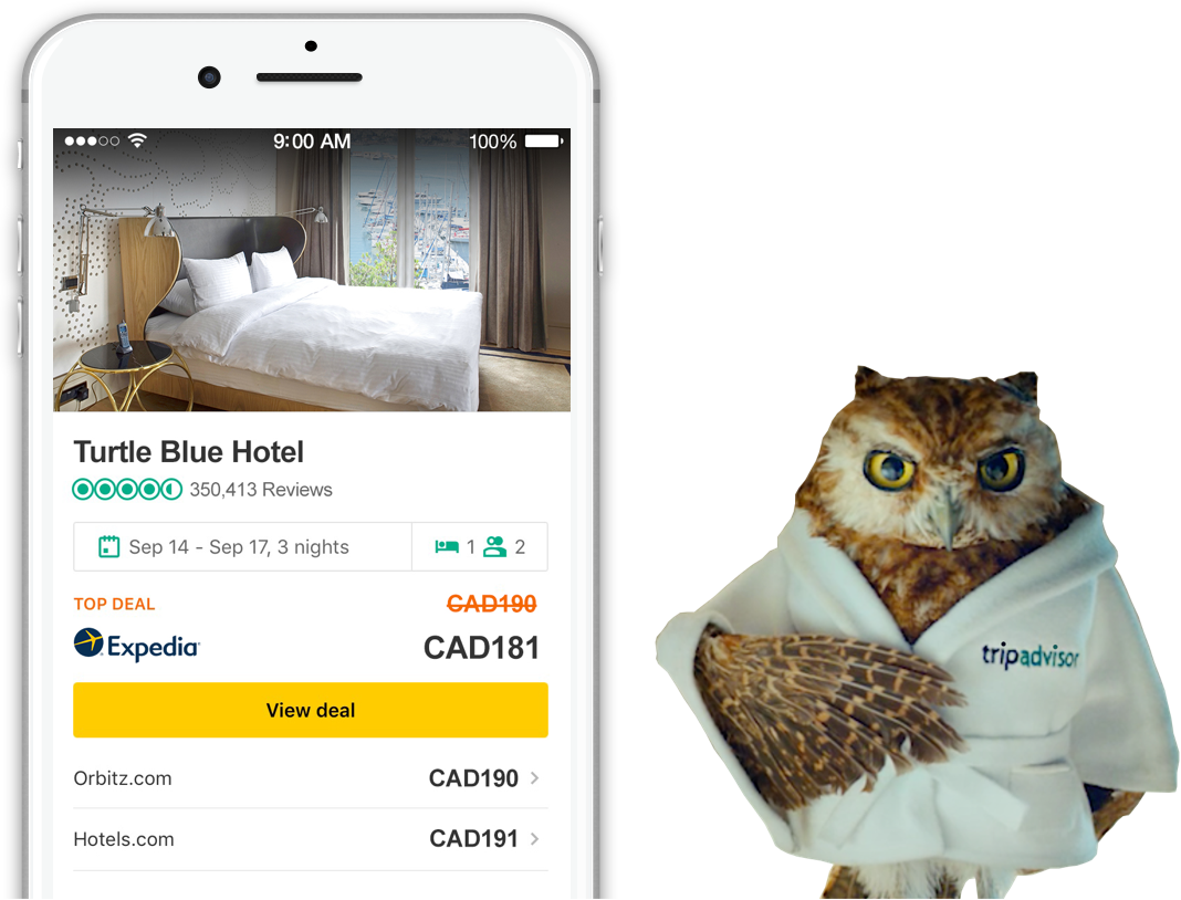 Trip Advisor Owl Clipart (1068x814), Png Download