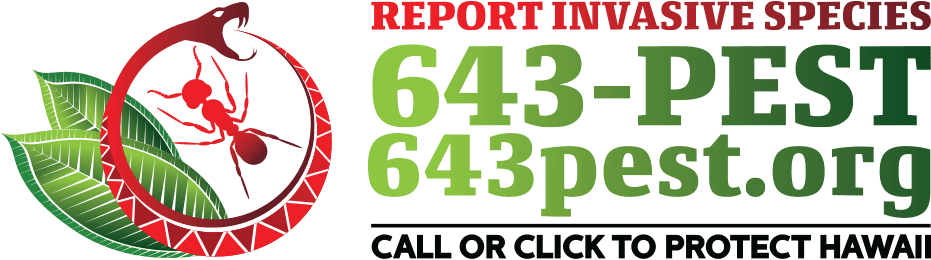 The Website 643pest - Graphic Design Clipart (1000x360), Png Download