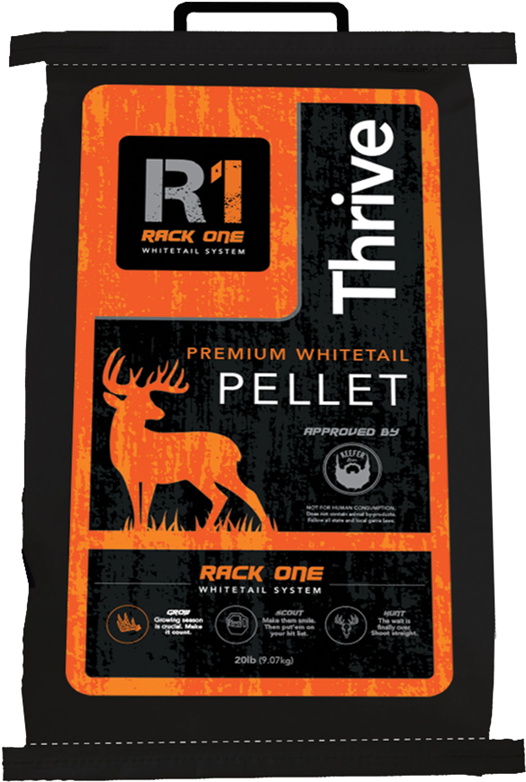 Academy Sports Outdoors , Png Download - Deer Clipart (584x869), Png Download