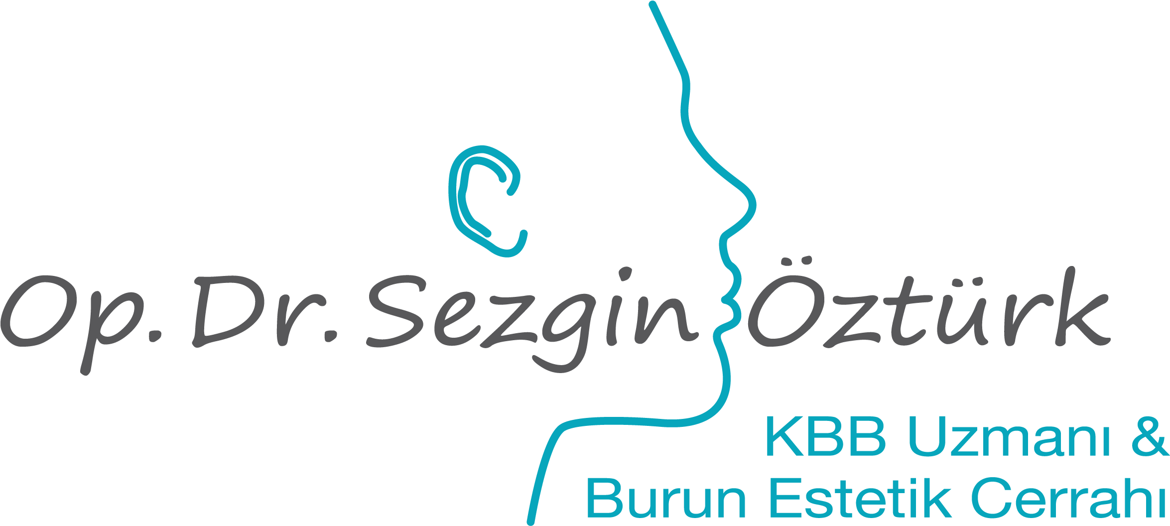 Sezgin Öztürk - Calligraphy Clipart (2380x1200), Png Download