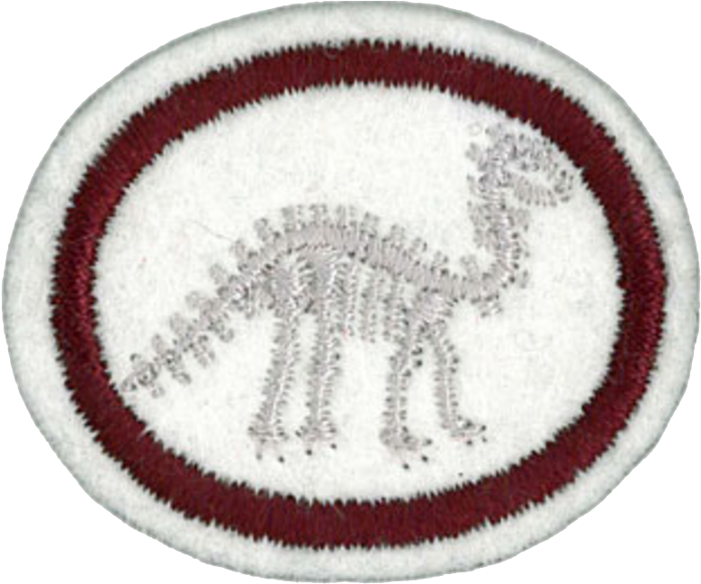 Fossils Honor - Horse Clipart (785x648), Png Download