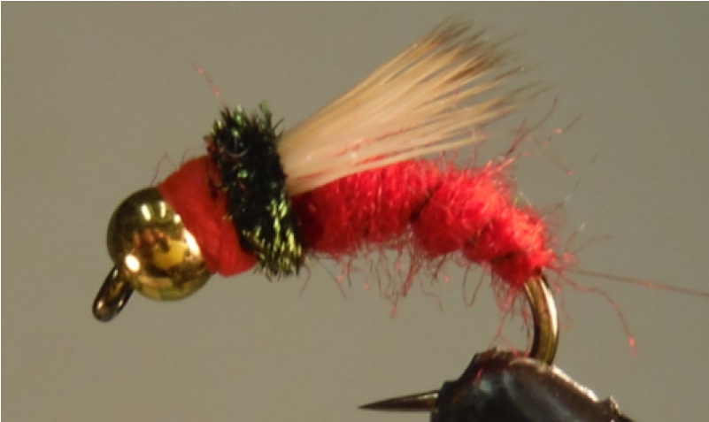 Mre Meal Ready To Eat - Insect Clipart (800x800), Png Download