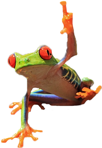 Frog Flipping Off Camera - True Frog Clipart (873x662), Png Download