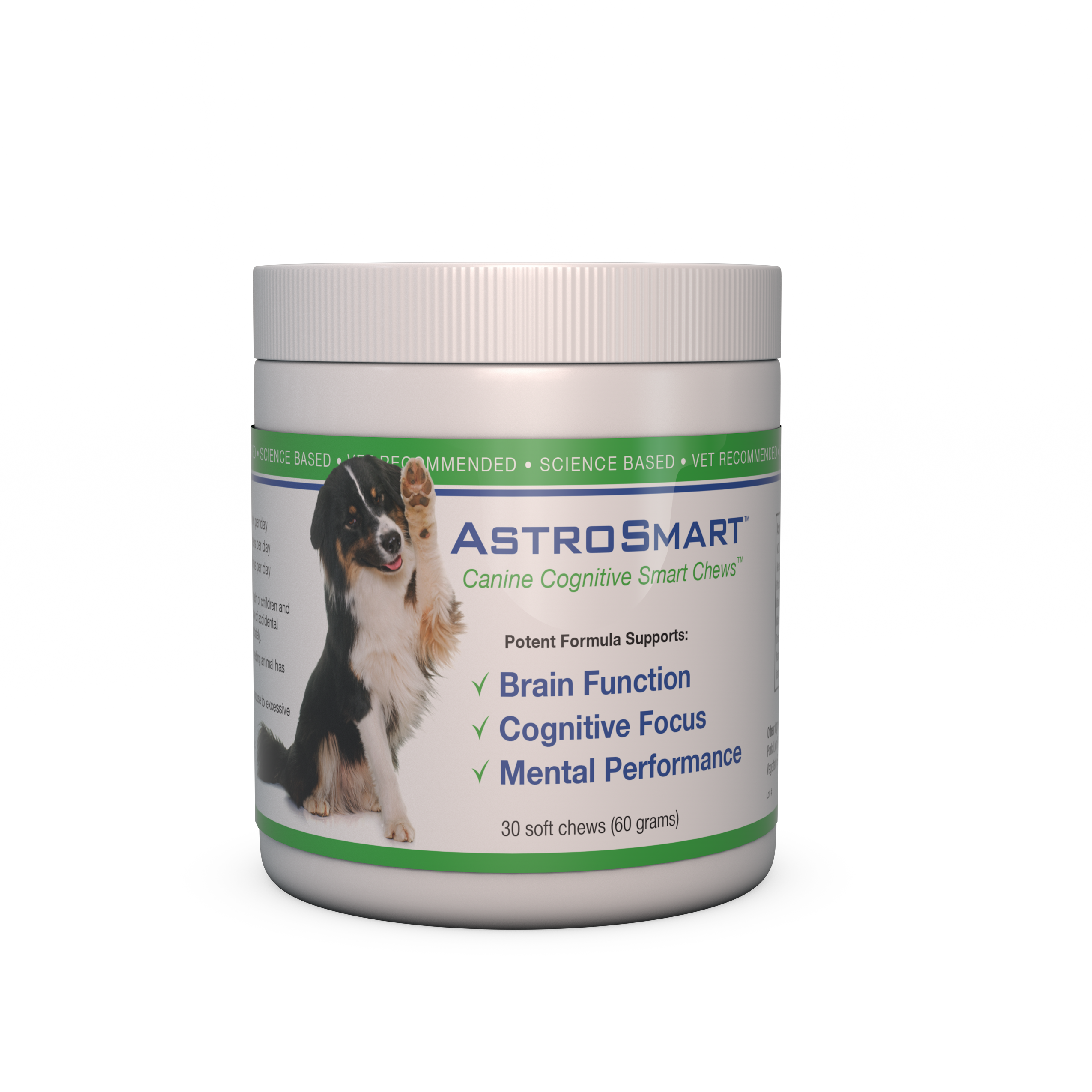 Cat Clipart (2550x2550), Png Download