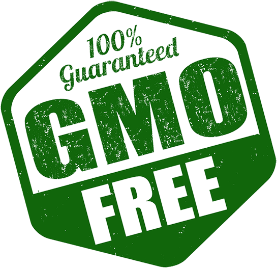 Gmo Free - Can Stock Clipart (600x600), Png Download