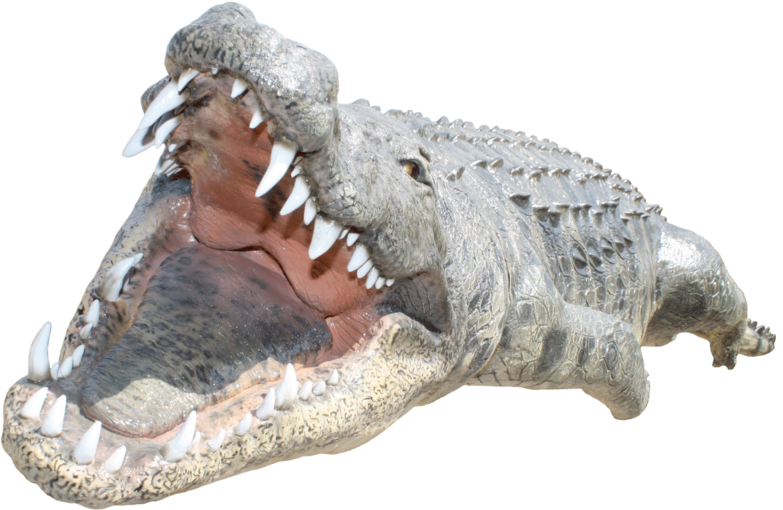 Crocodile Png - Png Crocodile Clipart (1200x758), Png Download