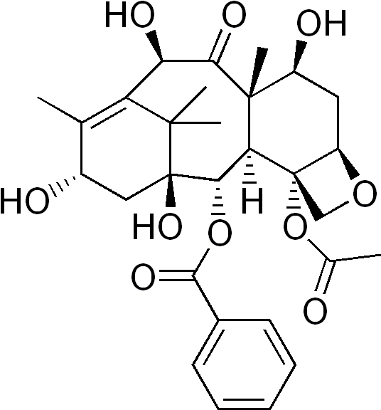 10-deacetylbaccatin - Taxol Semisynthesis Clipart (543x582), Png Download