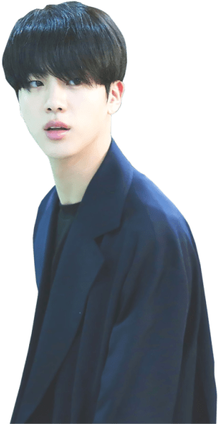 Bts Jin Jin Png Clipart (500x699), Png Download