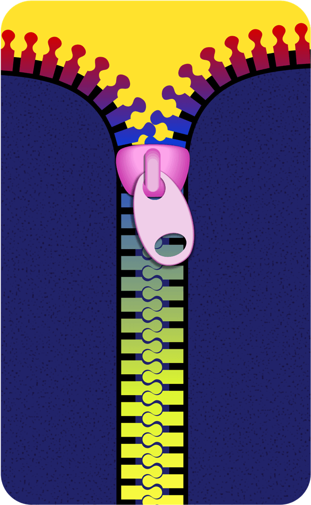 Clipart Zipper - Free Zipper Clip Art - Png Download (800x1174), Png Download