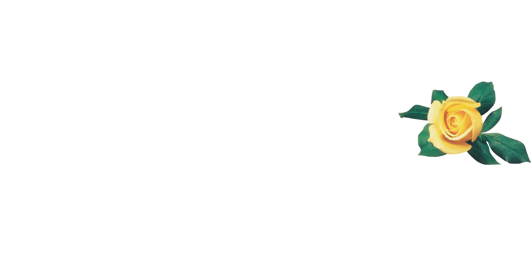 Png - Marvin Windows And Doors Clipart (1795x861), Png Download