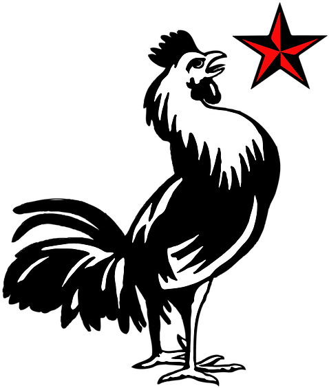Red Star Rooster Demo & Salvage Icon-01 - Rzesy Szablon Clipart (604x604), Png Download