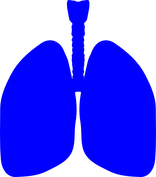 How To Set Use Lung Patient Celebration Image Svg Vector Clipart (522x593), Png Download