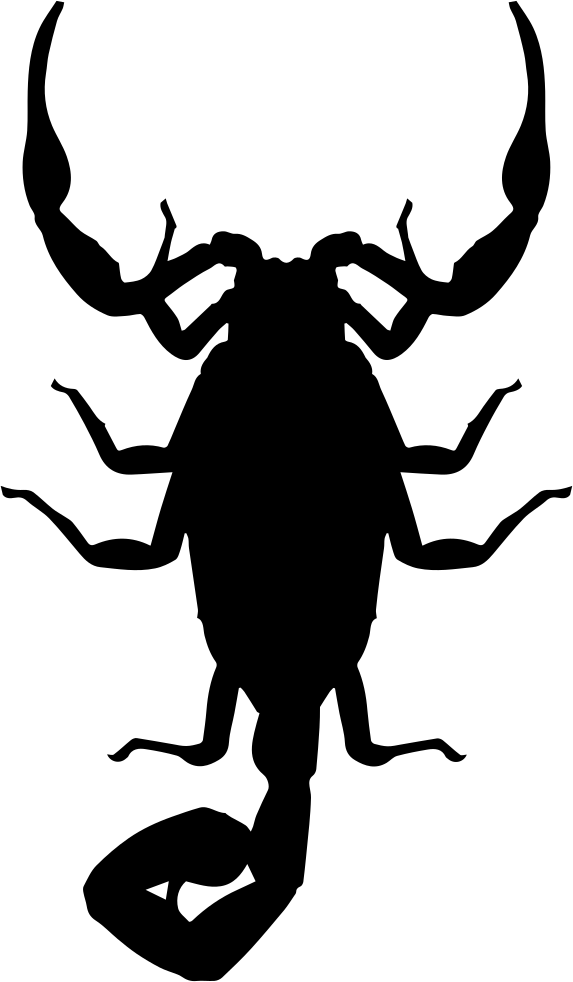 Png File - Scorpion Icon Png Clipart (573x982), Png Download