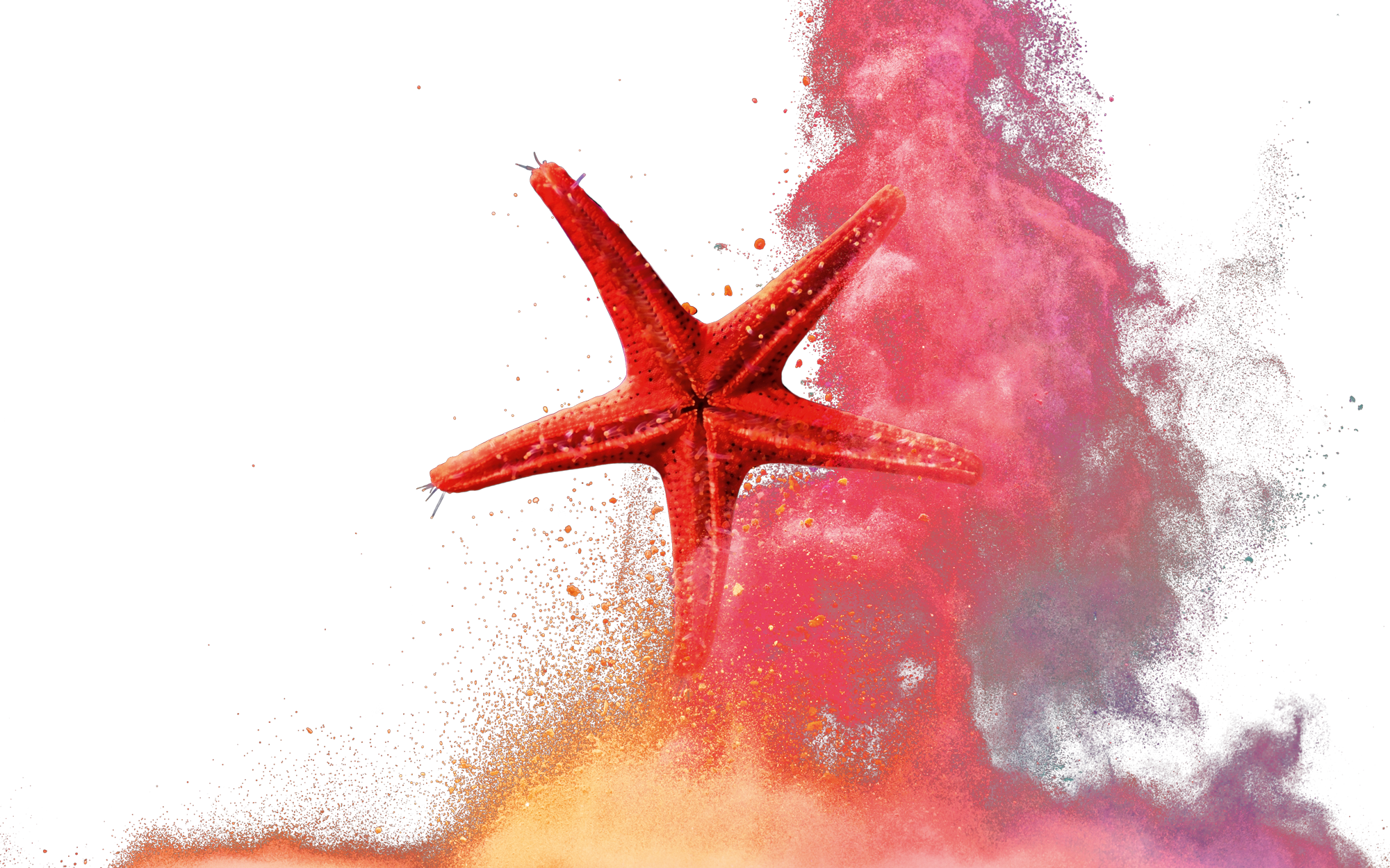 Sticks Without Adhesive Yupo Static - Starfish Clipart (2000x1250), Png Download