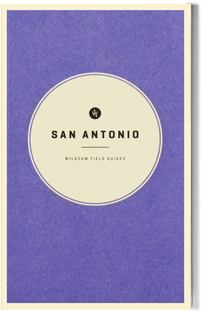 Wildsam San Antonio Guide Flat Clipart (1000x1271), Png Download