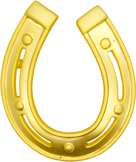 Big Horseshoe Pin , Gold - Circle Clipart (600x600), Png Download