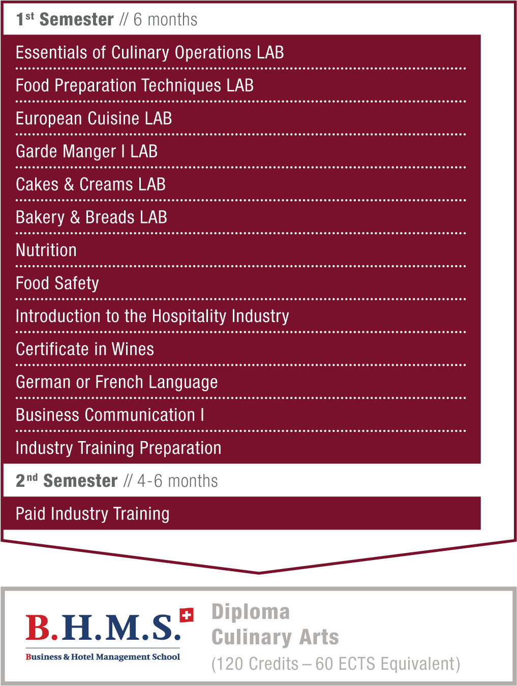 Diploma Culinary Arts - Bhms Clipart (1042x1379), Png Download