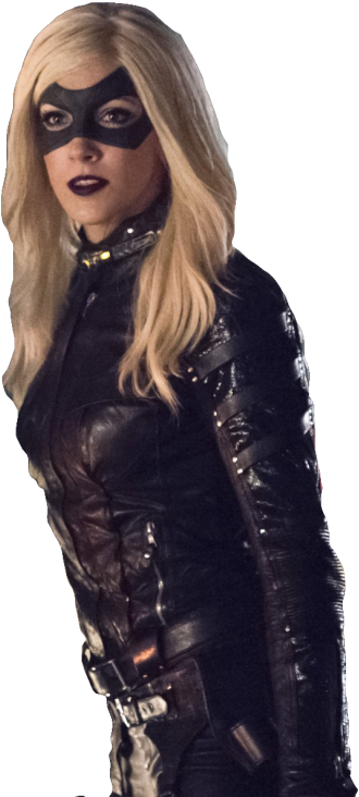 No Caption Provided - Arrow Black Canary Png Clipart (423x750), Png Download