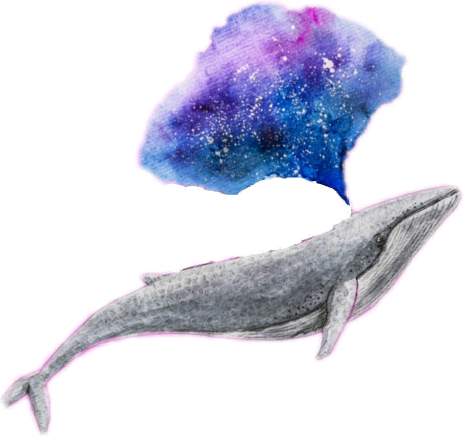 Galaxy Edit Challenge Tumblr - Png Whale Clipart (951x894), Png Download