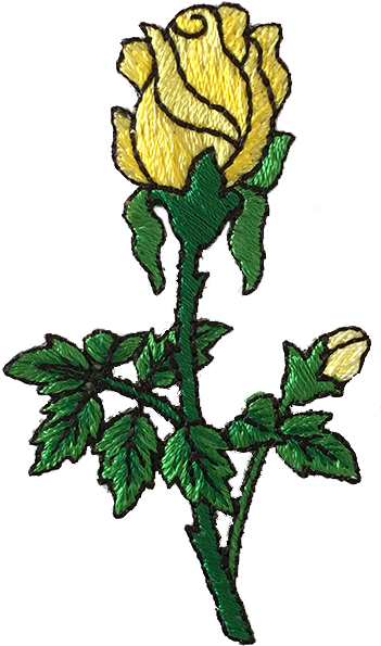 Flower Patch Png - Garden Roses Clipart (800x800), Png Download