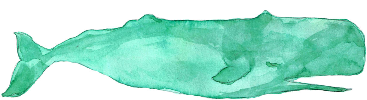 Work, 2016 Watercolour - Watercolor Paint Clipart (1280x465), Png Download