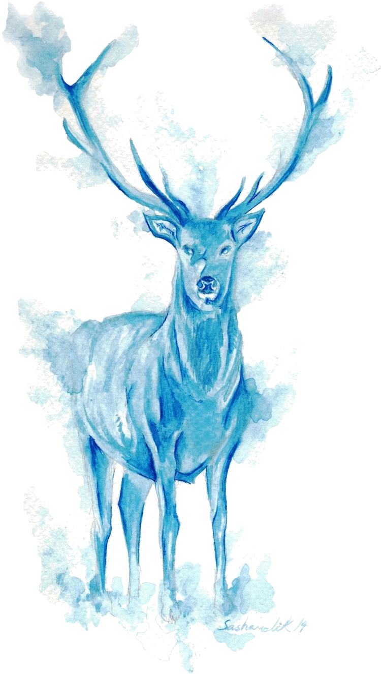 Download Download Harry Potter Patronus Png Clipart Png Download ...