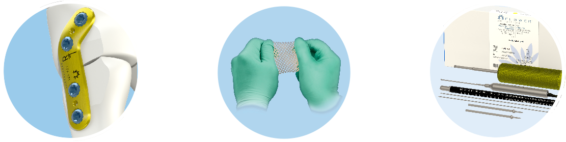 Image - Elephant Clipart (1202x339), Png Download