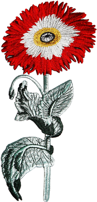 Standing Flower Embroidered Patch Straightly - Barberton Daisy Clipart (780x780), Png Download