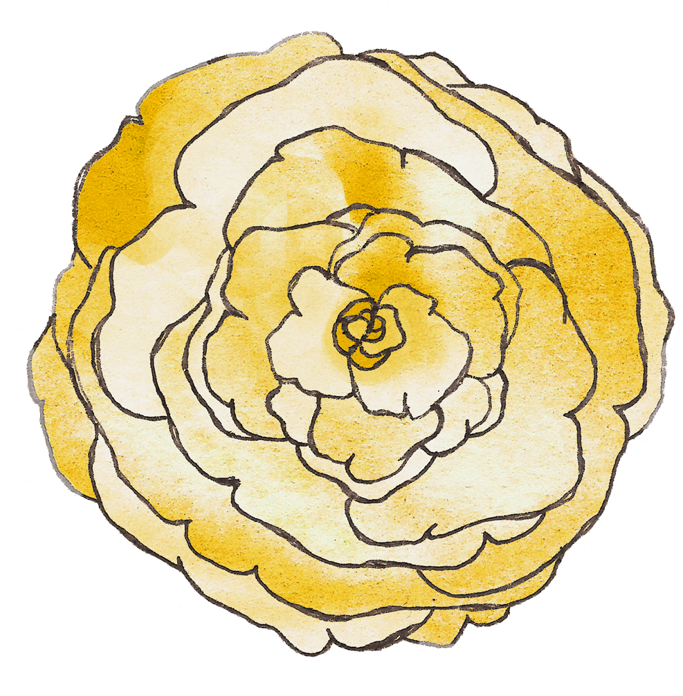 Texas Rangers Baseball Ticket First Birthday Invitation - Japanese Camellia Clipart (987x1007), Png Download