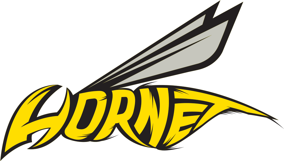 Sticker Honda Cb600f Hornet Logo 2013 - Hornet Logo Clipart (1200x1000), Png Download