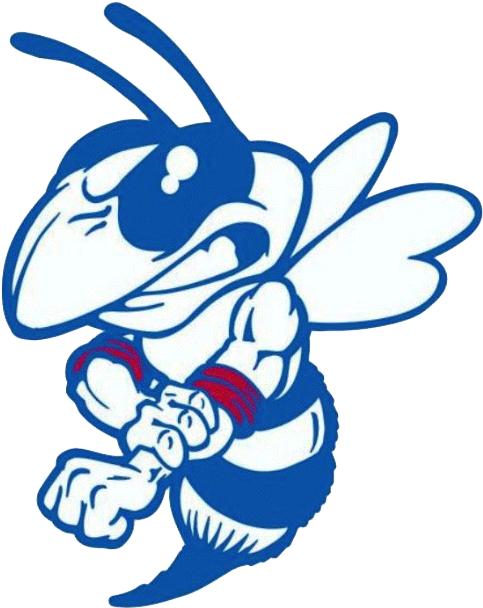 School Logo Image - Denison High School Yellow Jackets Clipart (704x704), Png Download