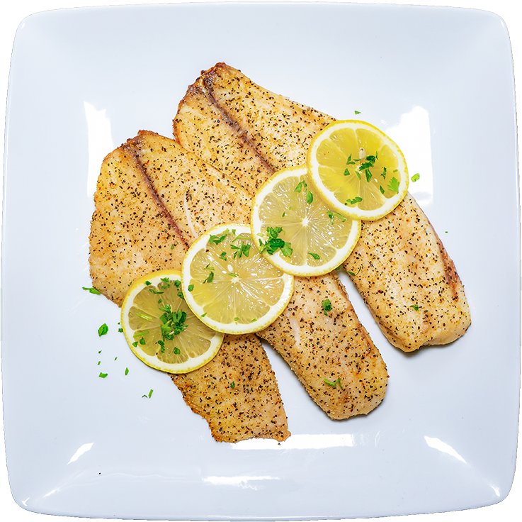 Tilapia - Fish Clipart (800x800), Png Download