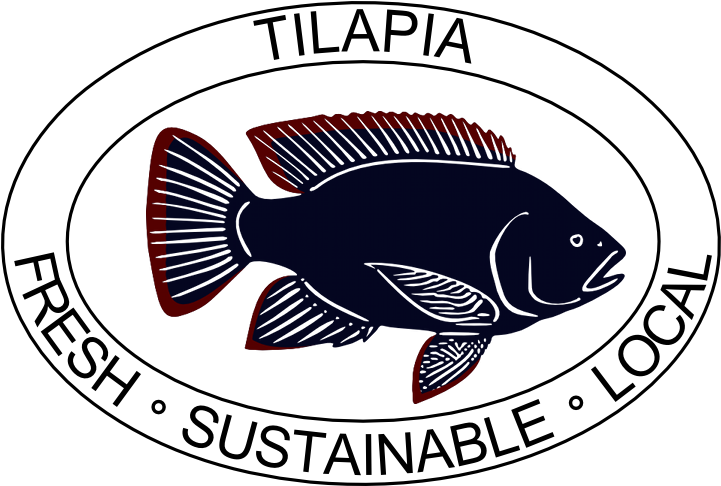 Ray-finned Fish Clipart (800x600), Png Download