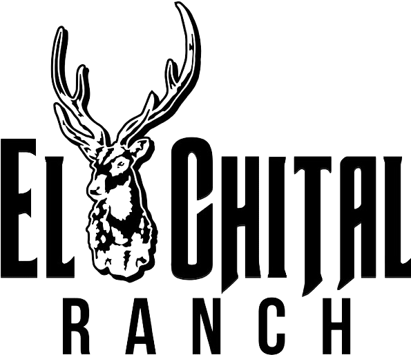 507 Acre “turnkey" Hunting Operation - Elk Clipart (640x610), Png Download