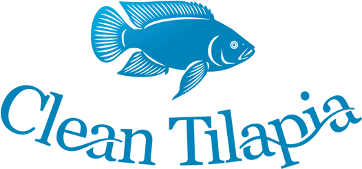 Cleantilapia Website - Bony-fish Clipart (600x655), Png Download