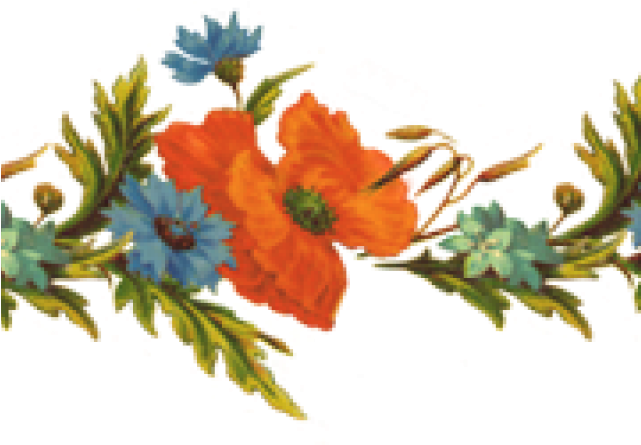 Flower Border Line Hd Png Clipart (640x480), Png Download