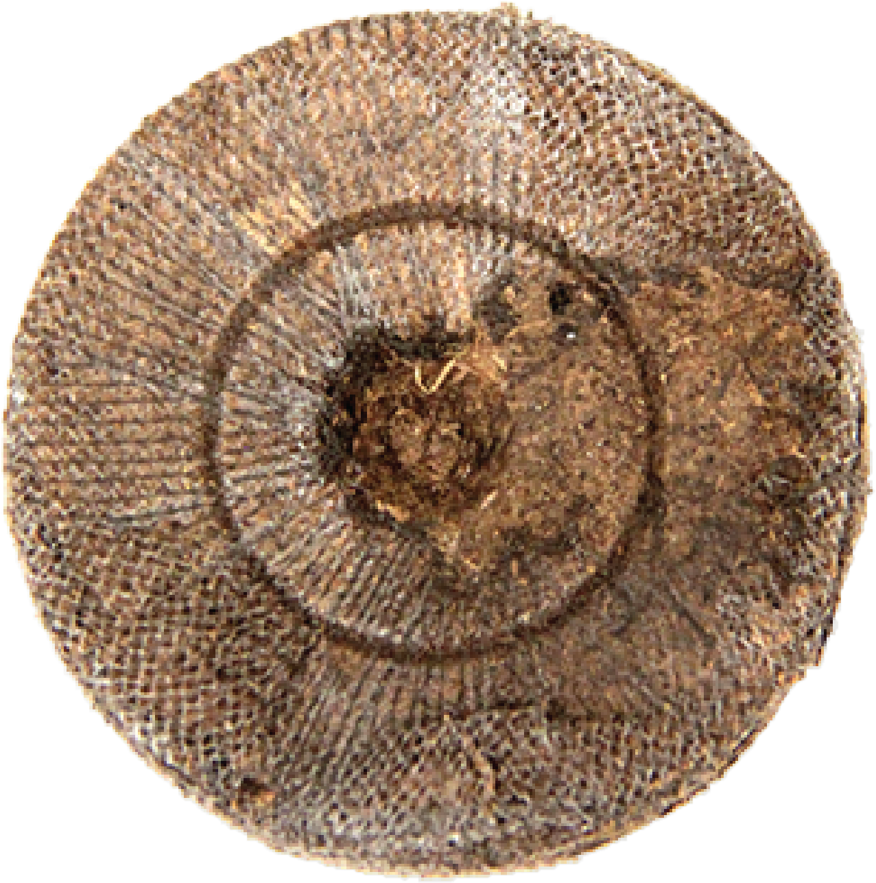 Strohhut Pork Pie Clipart (1421x1421), Png Download