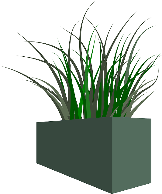 Pot Of Grass Png Clipart (533x640), Png Download