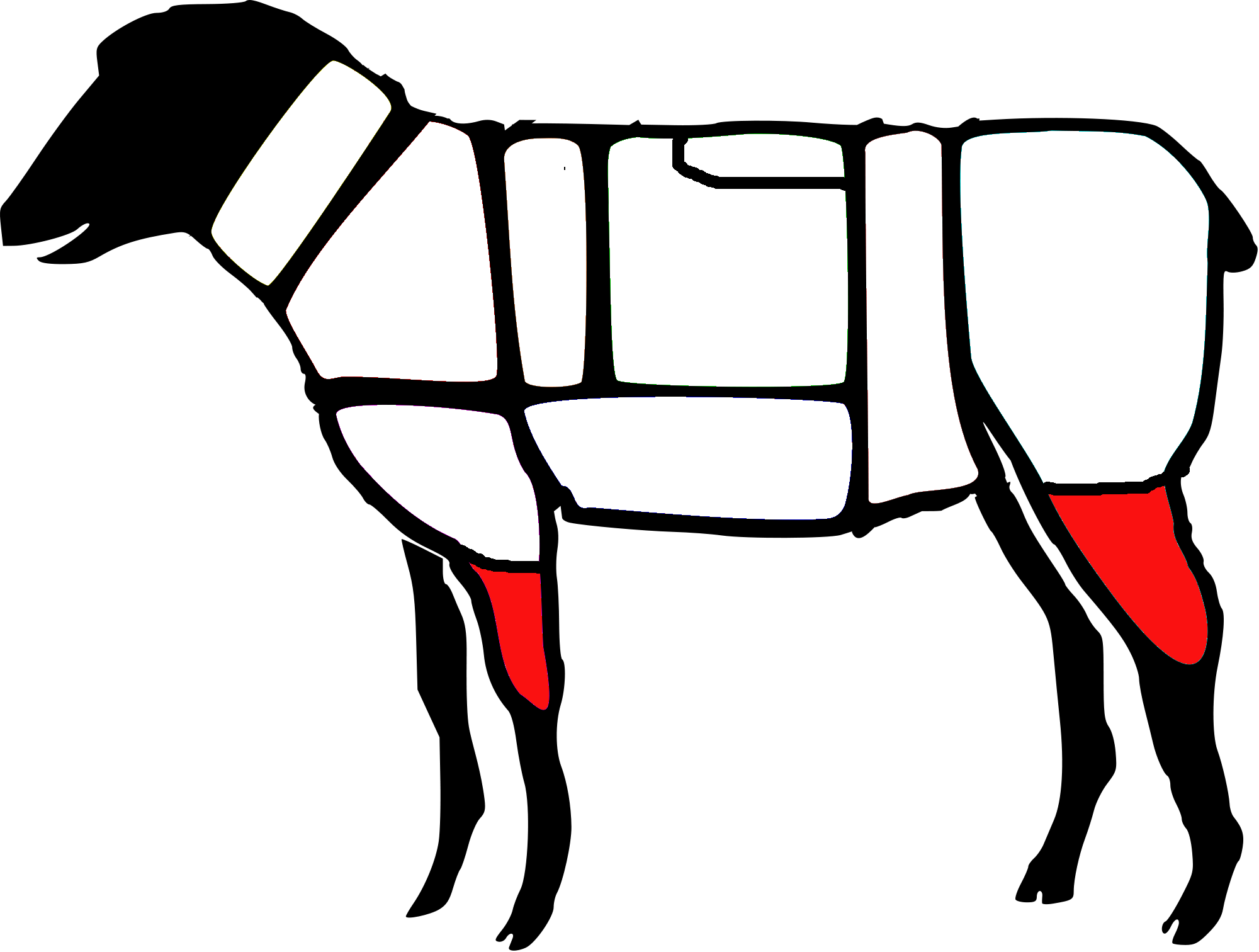 Piezas Procedente Del Cuarto Posterior Y Delanteros - Primal Cut Of Lamb Clipart (2000x1512), Png Download