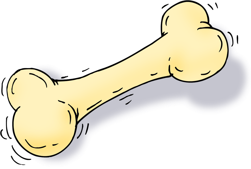 Hueso - Cartoon Clipart (1000x1000), Png Download