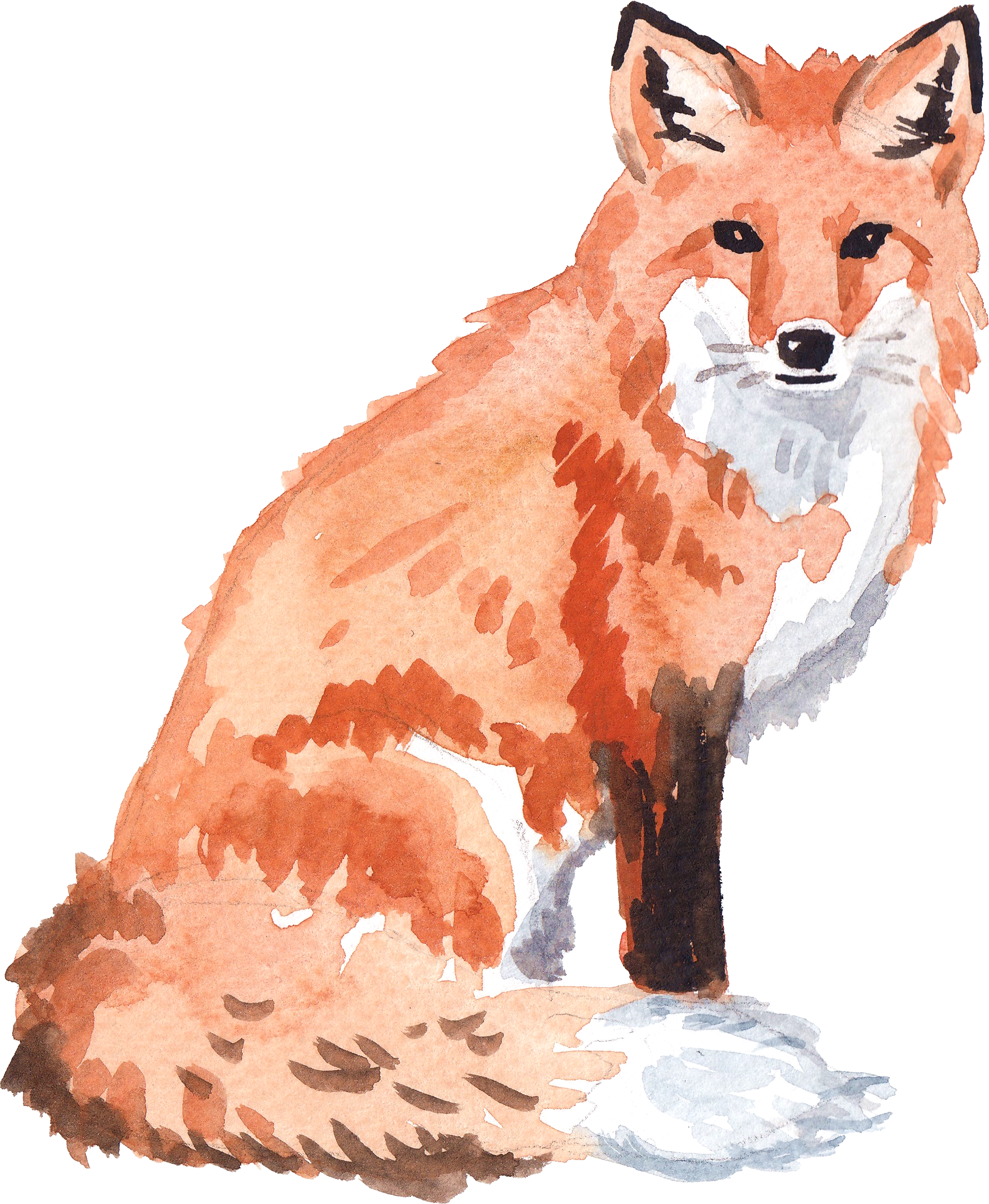 Red Fox Clipart (1935x2356), Png Download