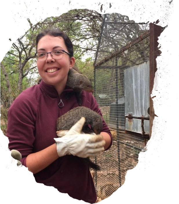 Emma Ruggles - Koala Clipart (660x715), Png Download