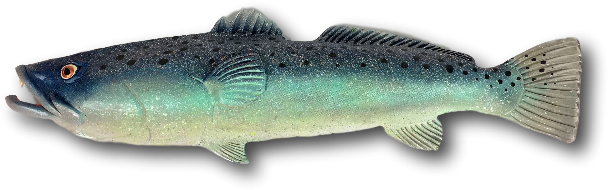 Paint Speckles Png - Trout Clipart (1943x608), Png Download