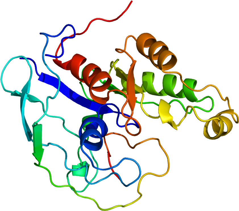 Clip Art - Png Download (890x792), Png Download