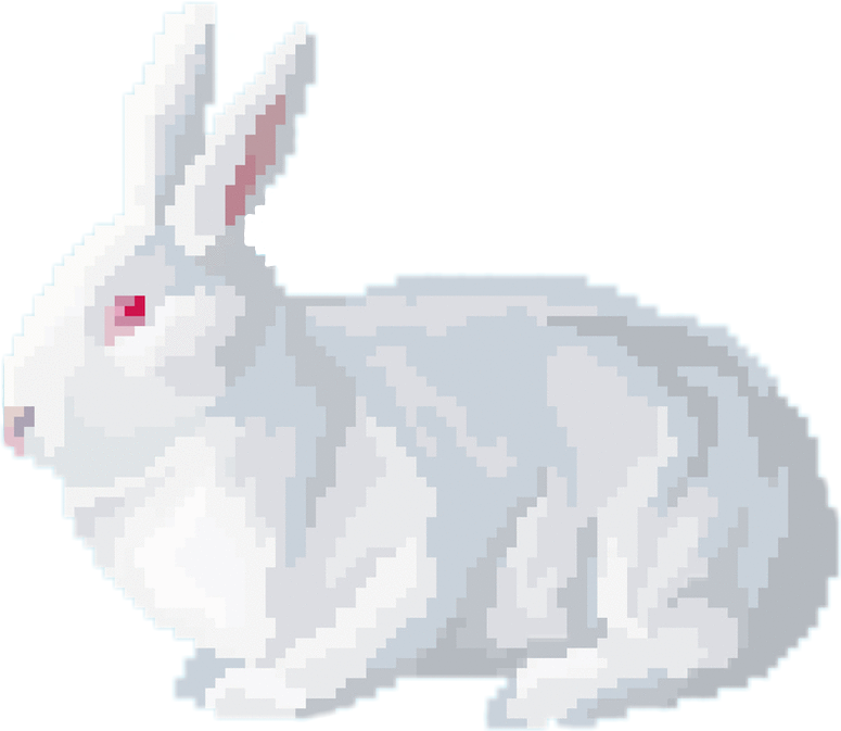 Rabit Sticker - Domestic Rabbit Clipart (775x673), Png Download