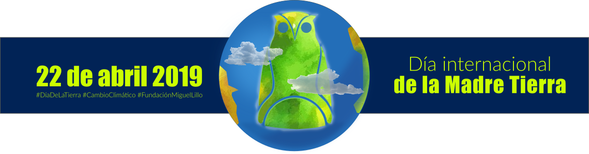 Feliz Dia Internacional De La Madre Tierra 2019 Fundacion - Au Coeur Du Mensonge (1999) Clipart (1201x314), Png Download