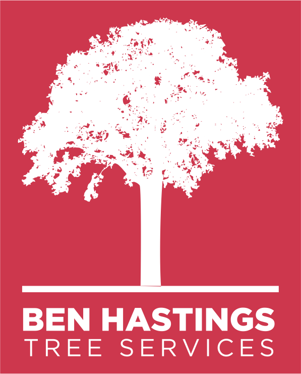 Phone - Poster Clipart (597x741), Png Download