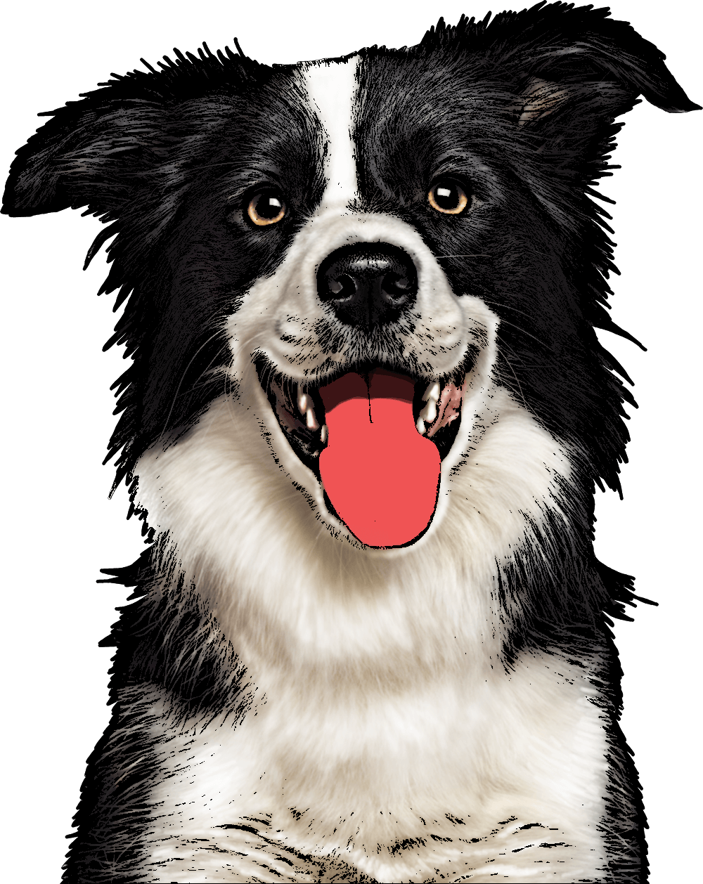 Custom Pet Pop Art - Pop Art Dog Png Clipart (1000x1258), Png Download